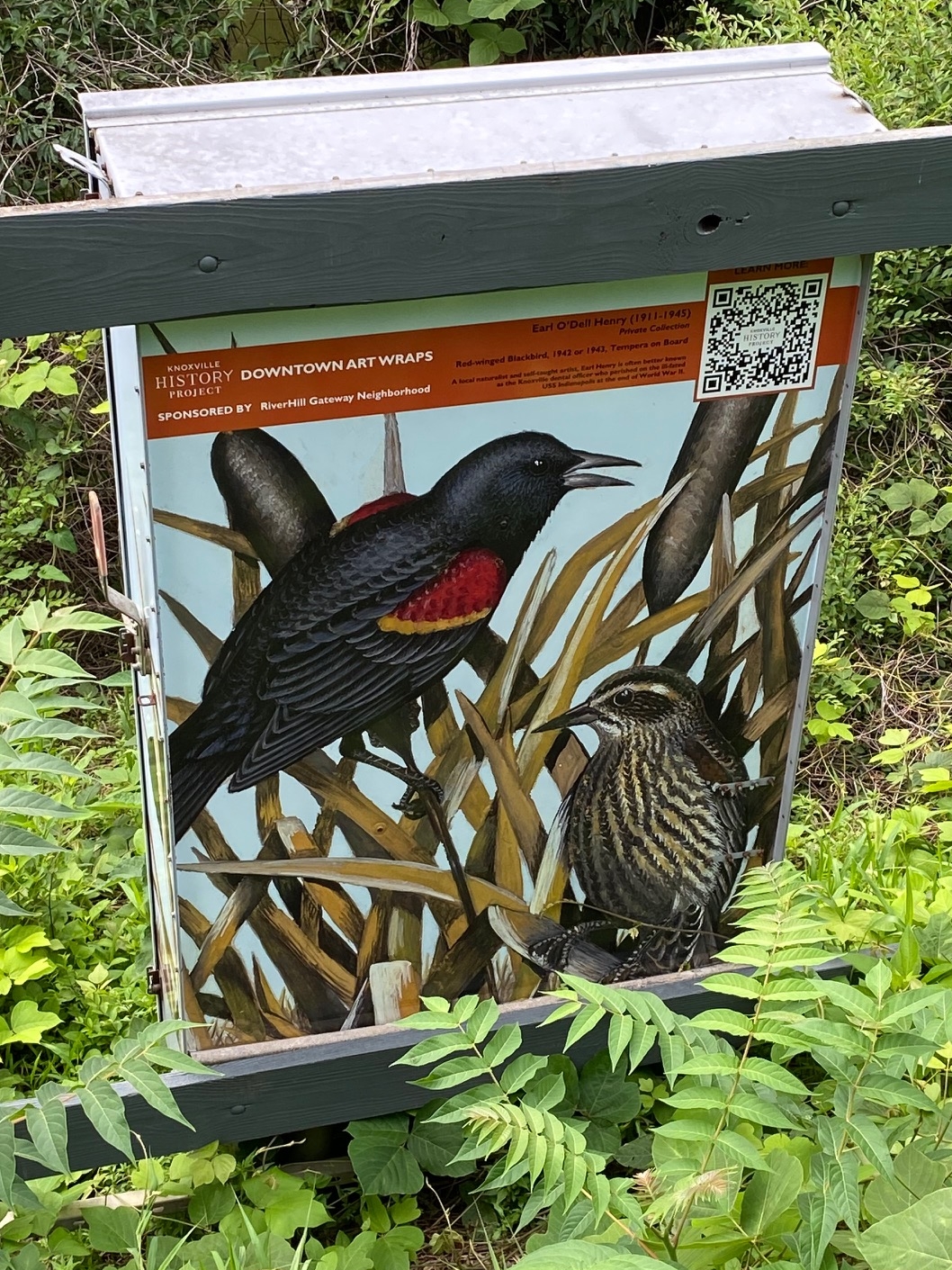 Red-Winged Blackbird by Earl O. Henry on James White Parkway by Volunteer Marina. Sponsored by RiverHill Gateway Neighborhood.