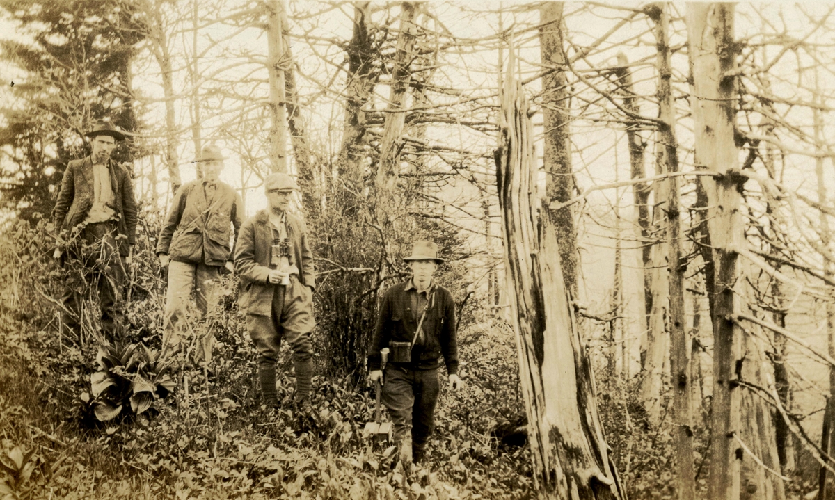 1924 birding expedition in the Smokies with Harry Ijams (left from left).