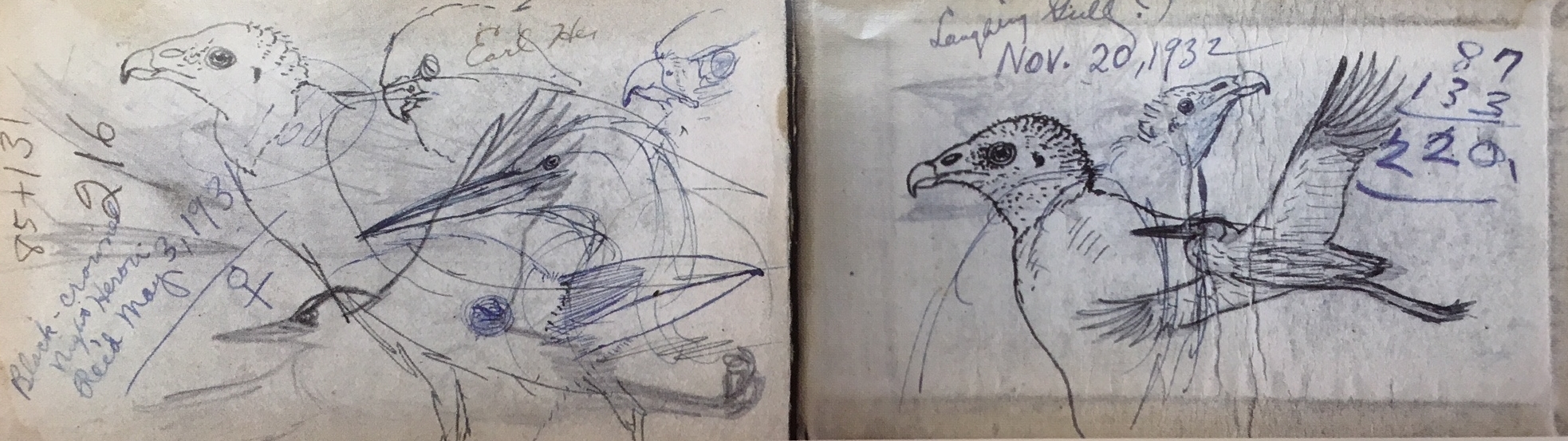 Earl Henry's sketches. (Courtesy of Earl Henry Jr.)