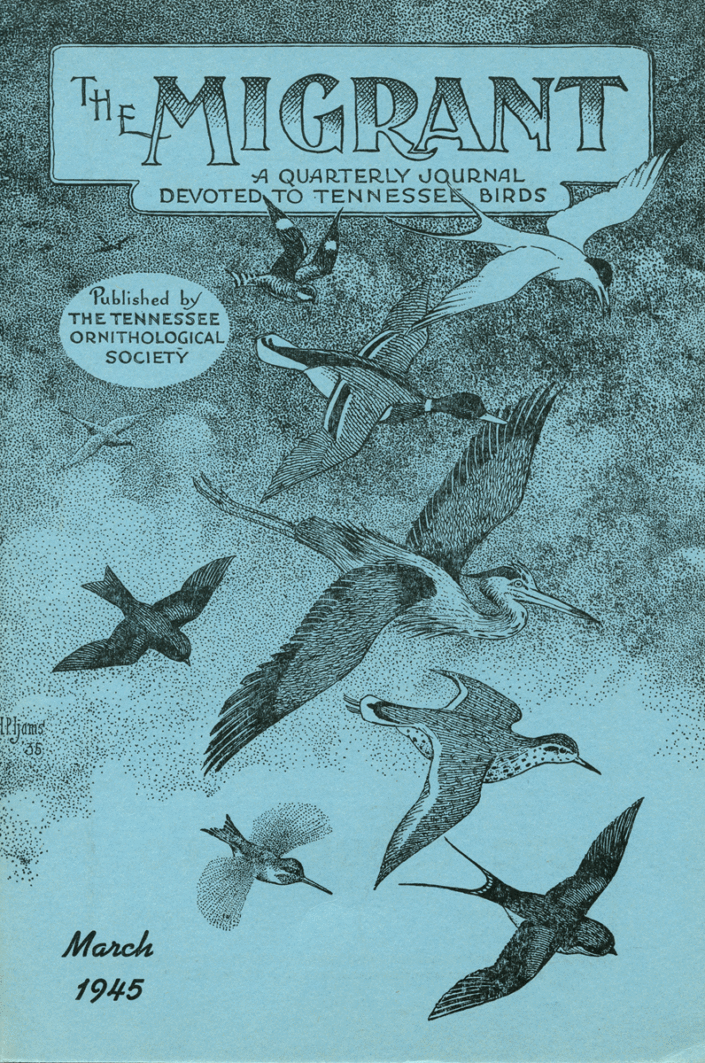 The Migrant, Tennessee Ornithological Society journal. Cover illustration by Harry Ijams.