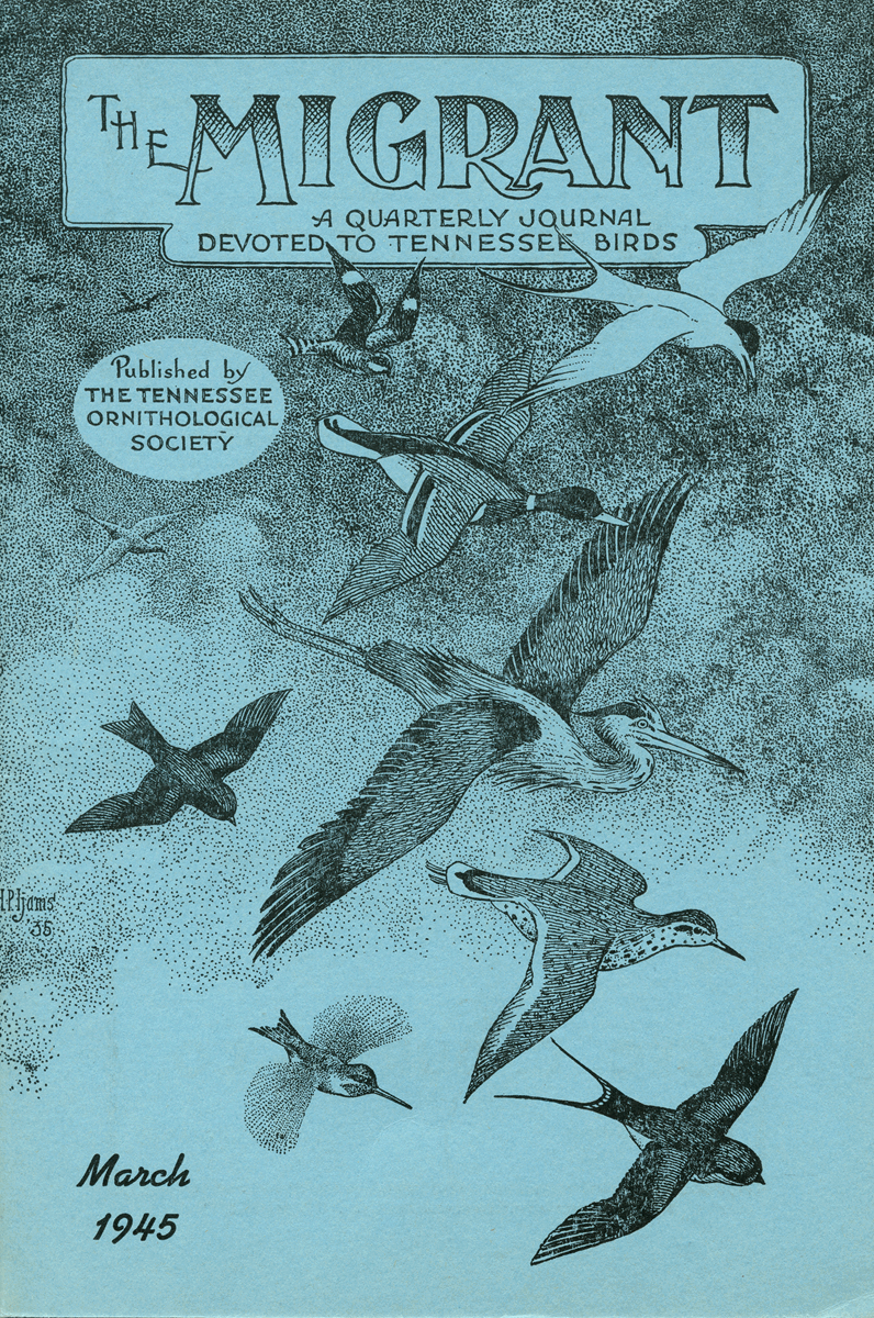 The Migrant, Tennessee Ornithological Society journal. Cover illustration by Harry Ijams.