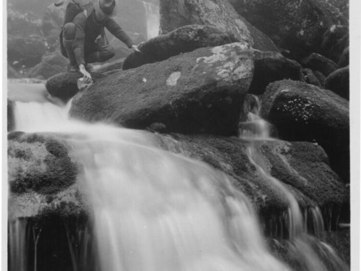 Stunning photograph, "Mountain Stream" by Thompson Brothers. (University of Tennessee Libraries, Digital Collections.)