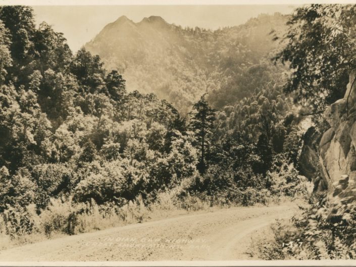 Indian Gap Highway Postcard (Courtesy of Brian and Heather Buckberry)