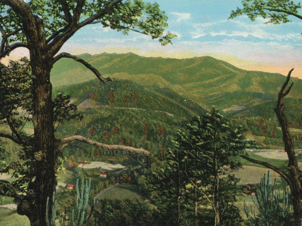 View of Mount Le Conte, Thompson Brothers. (University of Tennessee Libraries.)
